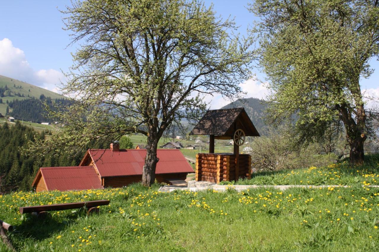 Polonyna Villa Verhovina Kültér fotó