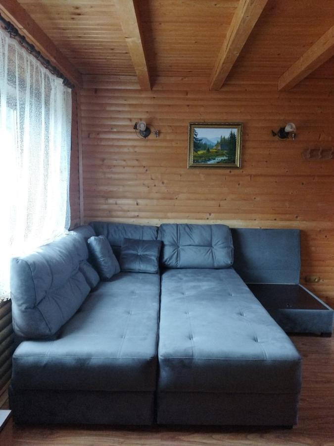 Polonyna Villa Verhovina Kültér fotó