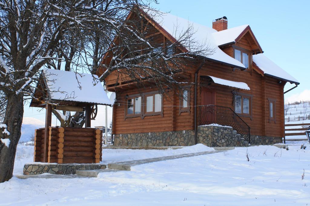 Polonyna Villa Verhovina Kültér fotó