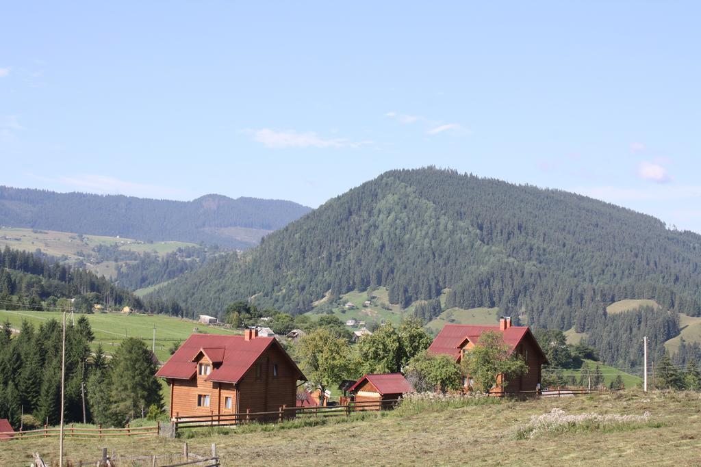 Polonyna Villa Verhovina Kültér fotó