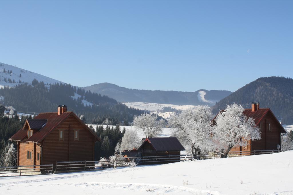 Polonyna Villa Verhovina Kültér fotó