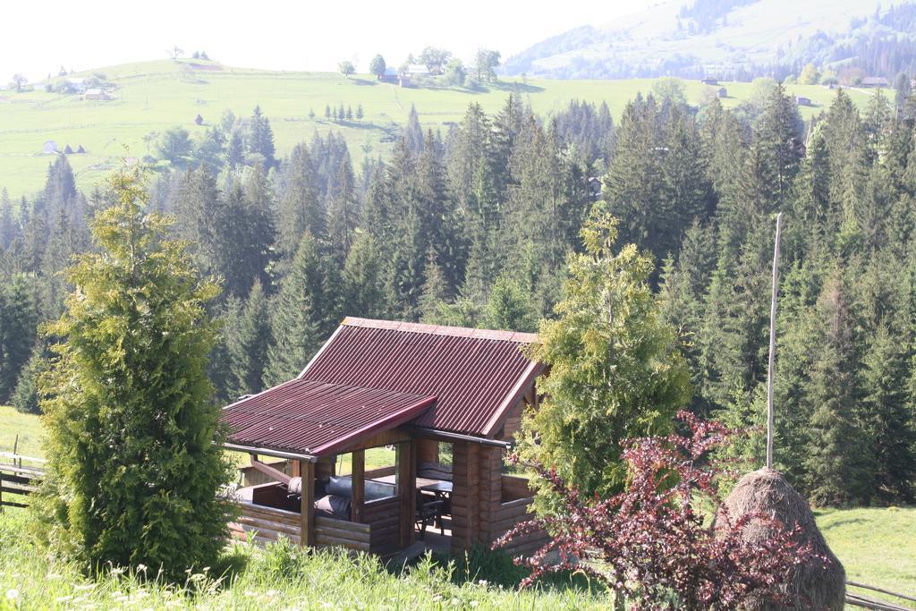 Polonyna Villa Verhovina Kültér fotó