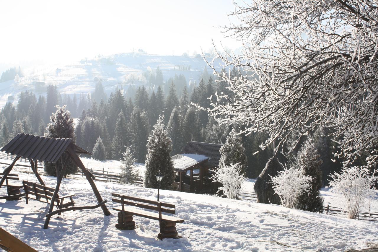 Polonyna Villa Verhovina Kültér fotó