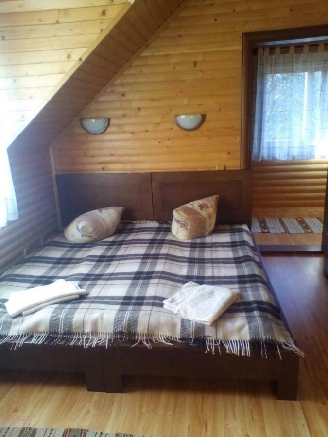 Polonyna Villa Verhovina Kültér fotó