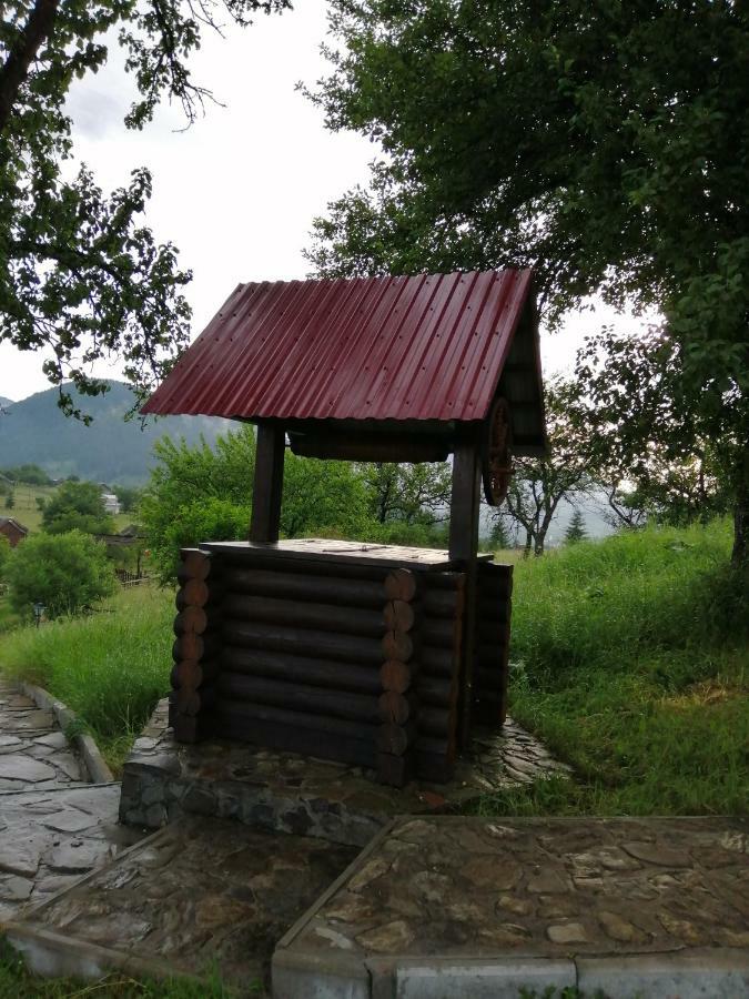 Polonyna Villa Verhovina Kültér fotó