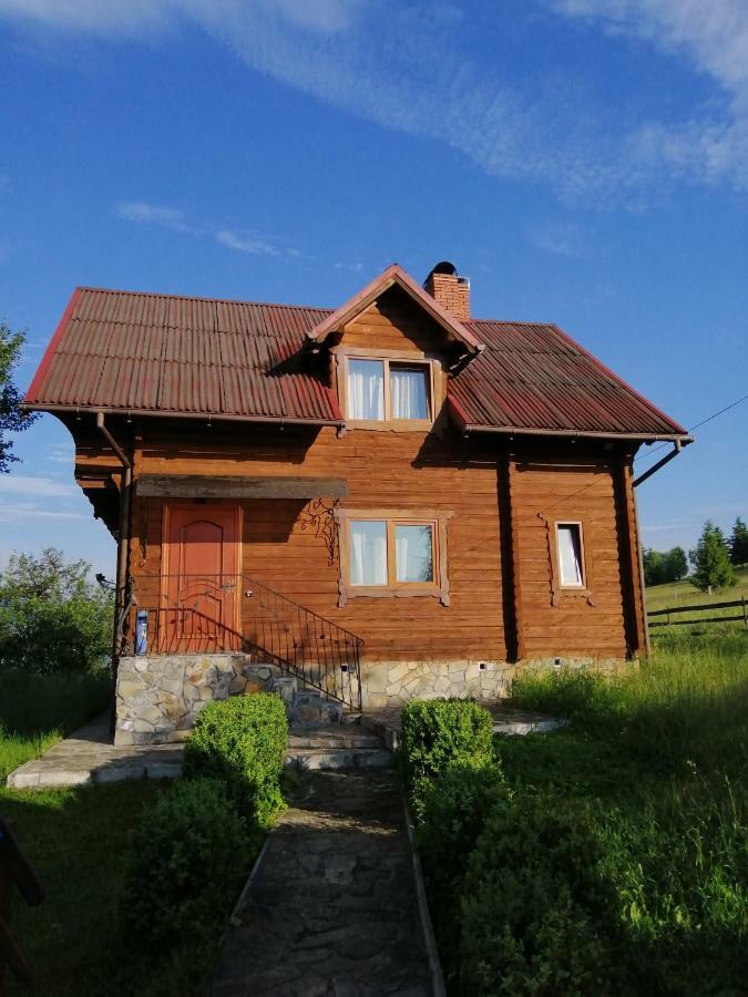Polonyna Villa Verhovina Kültér fotó