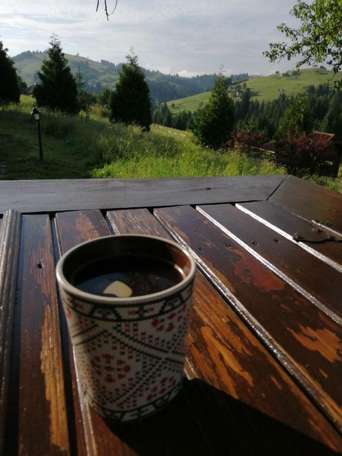 Polonyna Villa Verhovina Kültér fotó